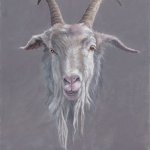 Timothy Barr, Goat with Dreads, 2017, Oil on board, 14 x 11 inches
