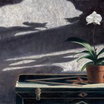 Timothy Barr, Orchids, 2018, oil on panel, 10 x 24 inches