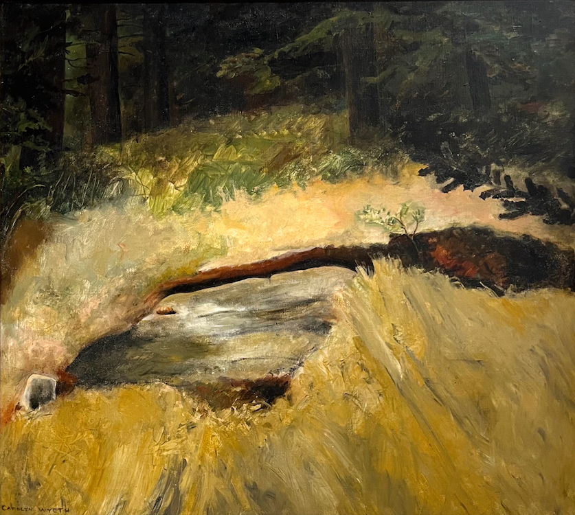 Carolyn Wyeth, Maine Woods, c. 1966, Oil on canvas, 23 3/4 x 26 1/2 inches
