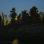 Peter Sculthorpe, Evening on the Lake, oil on mounted linen, 7 x 9 inches