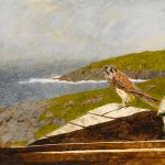 Jamie Wyeth, Kestrel, 1985, combined mediums on paper, 18 1/2 x 23 3/4 inches
