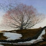 Timothy Barr, Sacred Beech, 2014, oil on panel, 20 x 24 inches