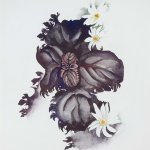 Georgia O'Keeffe (1887 - 1986), No. 36 - Special (Nicotine Flower), 1920, watercolor on paper, 15 1/2 x 11 1/4 inches