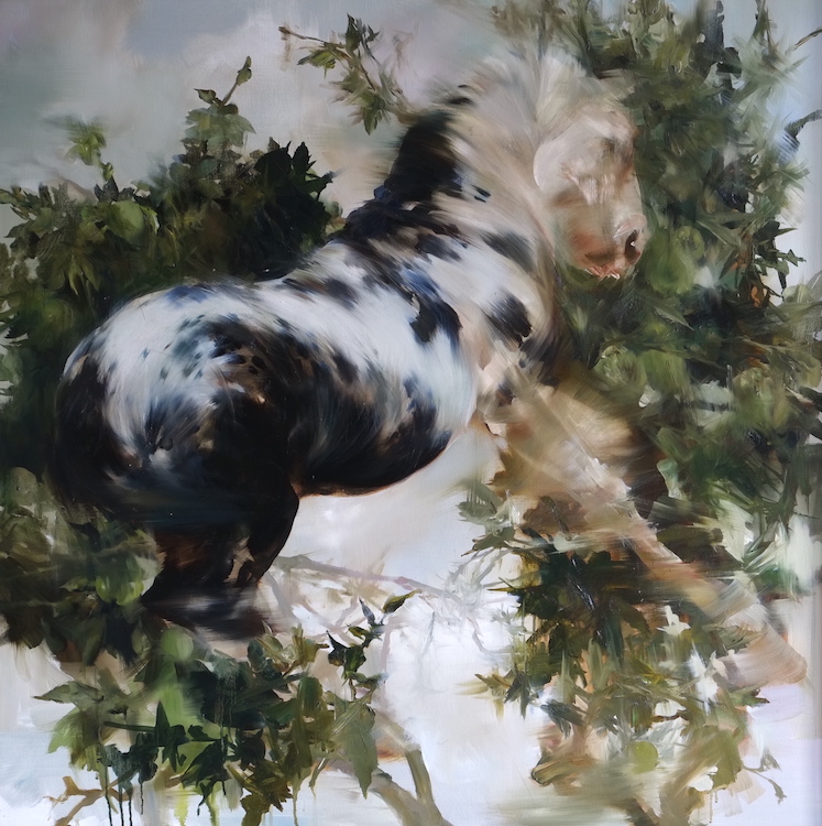 Sarah McRae Morton, Lightning, Pippins, oil on linen, 36 x 36 inches