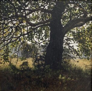 Peter Sculthorpe, Sycamore, 2022, Oil on panel, 8 x 8 inches