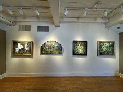 Installation Shot, Michael Doyle "Inspiration on the Acre"