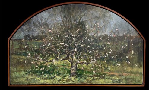 Michael Doyle, Flowering Apple (SOLD), 2023, Oil on curved panel, 25 ¾ x 41 ½ inches