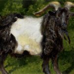 Jamie Wyeth, Black and White Goat, 2008, Combined mediums on toned paper board, 16 x 20 inches