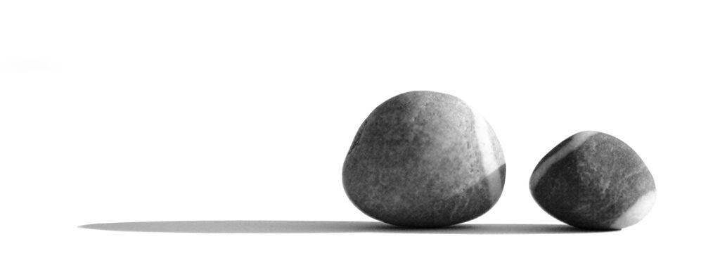 SOLD - Jon Mort, Correspondence, 2025, Graphite on Bristol Board, 10 ¼ x 28 inches