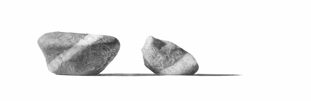 Jon Mort, Kinship, 2025, Graphite on Bristol Board, 9 ¼ x 28 inches