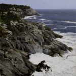 Peter Sculthorpe, North Shore, Monhegan, 2025, Oil on panel, 8 x 8 inches