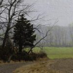 Peter Sculthorpe, Spring Light, 2025, Oil on mounted linen, 8 x 16 inches