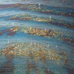 Theo Platt, Shallow, Oil on canvas, 49 x 47 inches