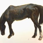 Francis DiFronzo, Randy, 2016, Oil on panel, 16 x 20 inches