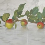 Greg Mort, Marbled Apples, 2019, Oil on panel, 28 x 50 inches