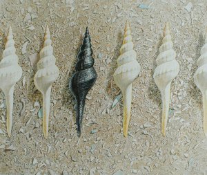 Greg Mort, Paradigm, 2014, Watercolor, 20 x 23 inches