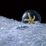 Greg Mort, The Last Star, 2017, oil on canvas, 24 x 36 inches