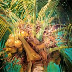 Jeff Moulton, Loaded, oil on canvas, 36 x 40 1/2 inches