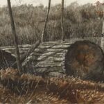 Jamie Wyeth, Fallen Tree, Watercolor and Gouache on paper, 14 x 20 inches