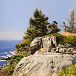 Peter Sculthorpe, That Raven, 2018, Oil on panel, 8 x 8 inches