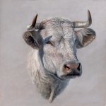 Timothy Barr, Boris, 2018, oil on panel, 18 x 18 inches