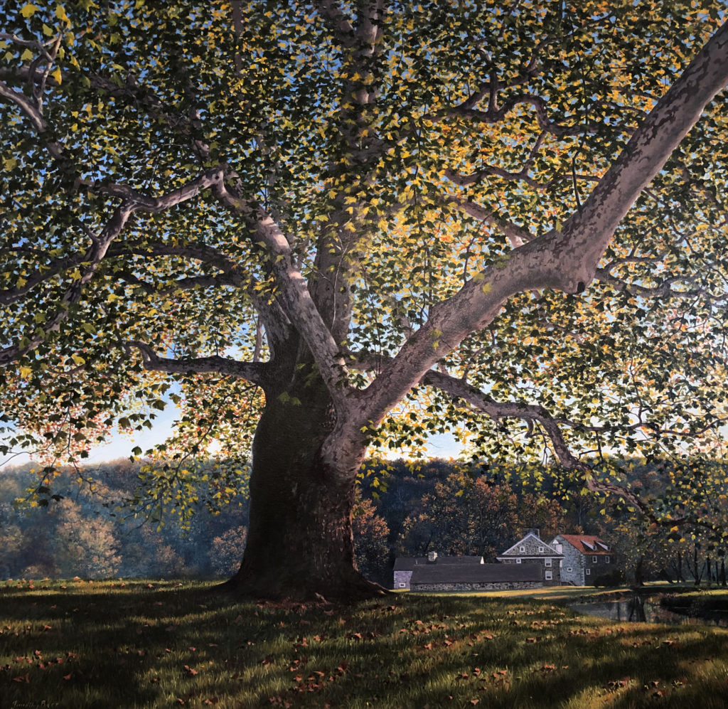 Timothy Barr (b. 1957), Brinton Mill Backlit II, 2019, Oil on panel, 24 x 24 inches