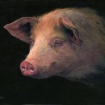 Tim Barr, Donald, 2015, oil on board, 11 x 14 inches