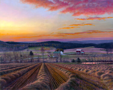 Timothy Barr, Oley Valley Cut Hay, 2022, Oil on panel, 16 x 20 inches