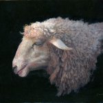 Tim Barr, Sheep Profile, 2015, oil on board, 11 x 14 inches