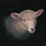 Timothy Barr, Sweet Pea, 2015, Oil on board, 11 x 14 inches