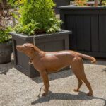 J. Clayton Bright, Coffee Shop Dog (life size), Bronze, 37 x 14 x 27 inches, Edition of 15