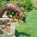 J. Clayton Bright, Foxcroft Fox (life size), Bronze, 28 ½ x 8 x 13 ¾ inches