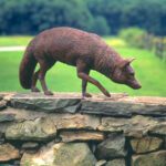 J. Clayton Bright, Red Fox (vulpes fulva) (life size), Bronze, 31 ½ x 13 ½ x 9 inches, Edition of 30