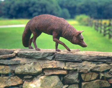 J. Clayton Bright, Red Fox (vulpes fulva) (life size), Bronze, 31 ½ x 13 ½ x 9 inches, Edition of 30
