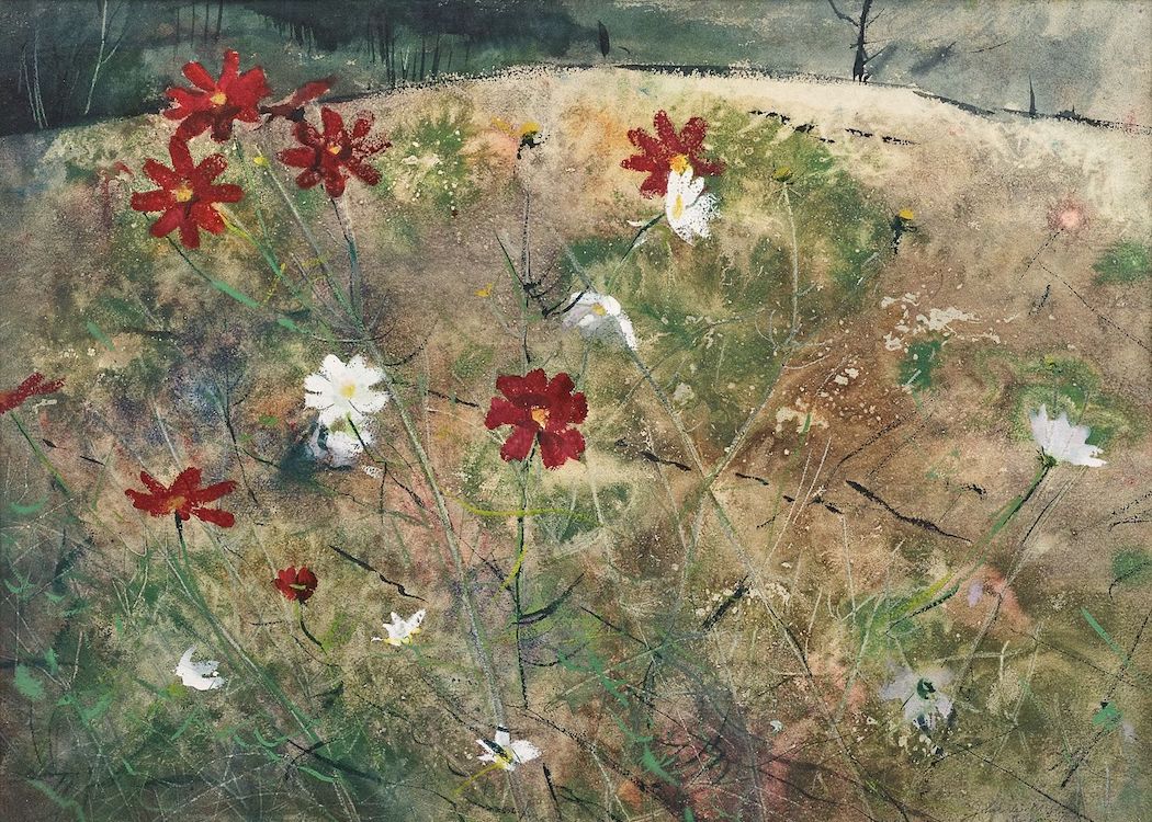 John W. McCoy, Cosmos, Watercolor, 22 x 30 inches