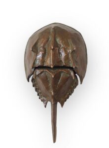 Margery Torrey, Eel Creek, Bronze, 2 ½ x 9 x 4 ½ inches