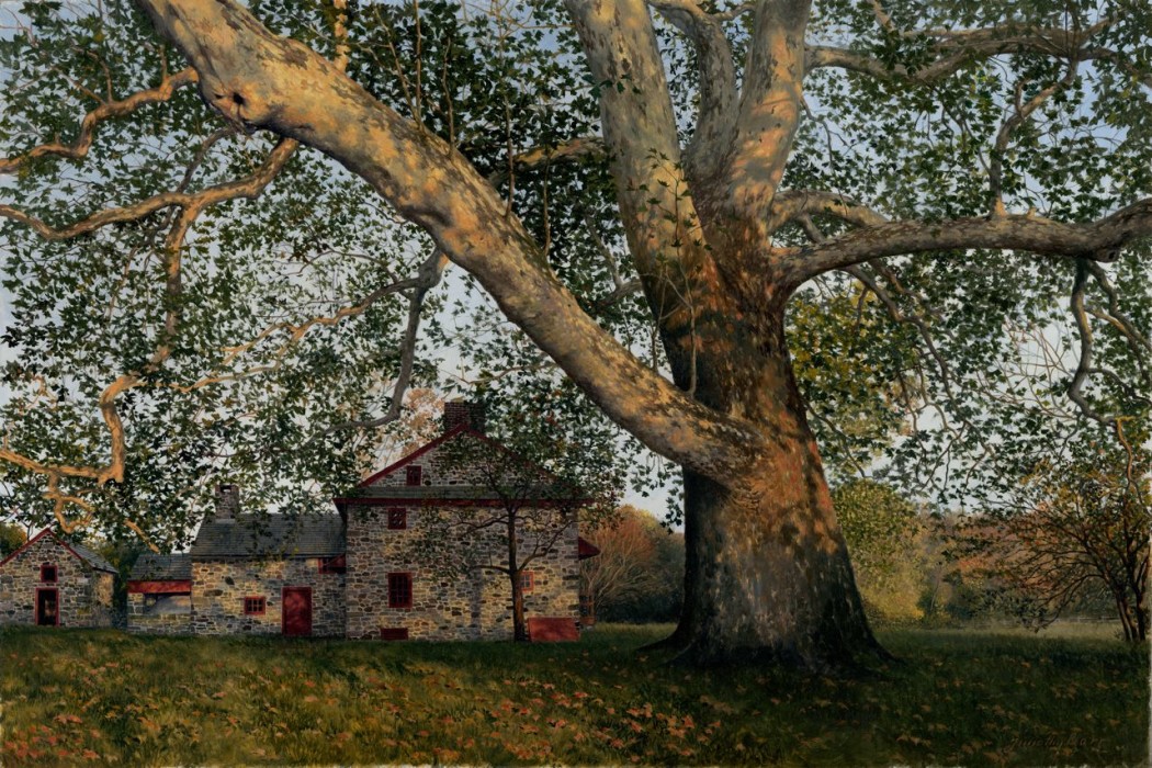 Timothy Barr, Gilpin Sycamore, 2012, oil on panel, 16 x 24 inches