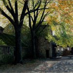 Timothy Barr, Inner Sanctum, oil on panel, 15 1/2 x 29 inches