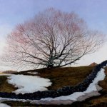 Timothy Barr, Sacred Beech, oil on panel, 20 x 24 inches