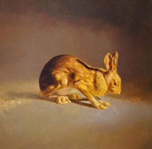 Drew Ernst, Showshoe Hare, 2019, Oil on linen, 22 x 22 inches