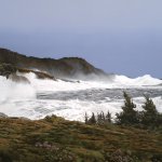 Peter Sculthorpe, Aftermath, oil on linen, 32 x 48 inches