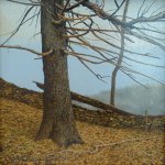 Peter Sculthorpe, Tree Near the Quarry, Rockland, oil on panel, 8 x 8 inches