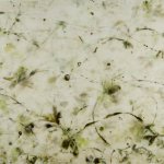 Betsy Eby, Ode to Georgia, Encaustic on Linen, 35 x 42 inches