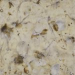 Betsy Eby, Frost, Encaustic on Panel, 24 x 24 inches