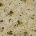 Betsy Eby, Thaw, Encaustic on Panel, 24 x 24 inches