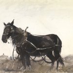 Andrew Wyeth, Farm Horse, 1954, Watercolor, 21 x 28 1/2 inches