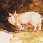 Jamie Wyeth, Pig, c. 1969-1970, Watercolor on paper, 11 x 14 inches