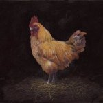 Timothy Barr, Bonnie, Oil on Panel, 11 x 14 inches