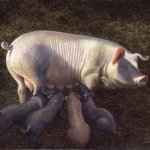 Timothy Barr, Her Eminence, Oil on Panel, 11 x 14 inches