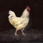 Timothy Barr, Herbie, Oil on Panel, 11 x 14 inches